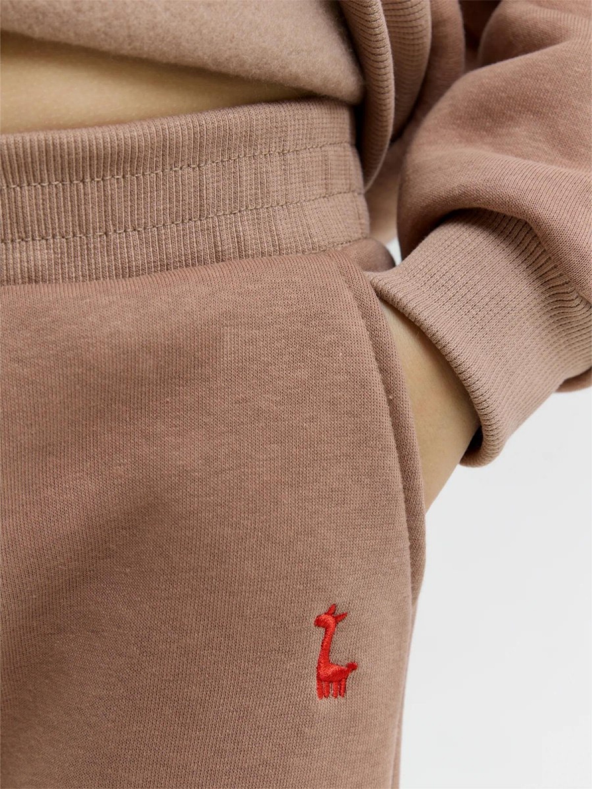 Спортивный костюм теплый с начесом зимний