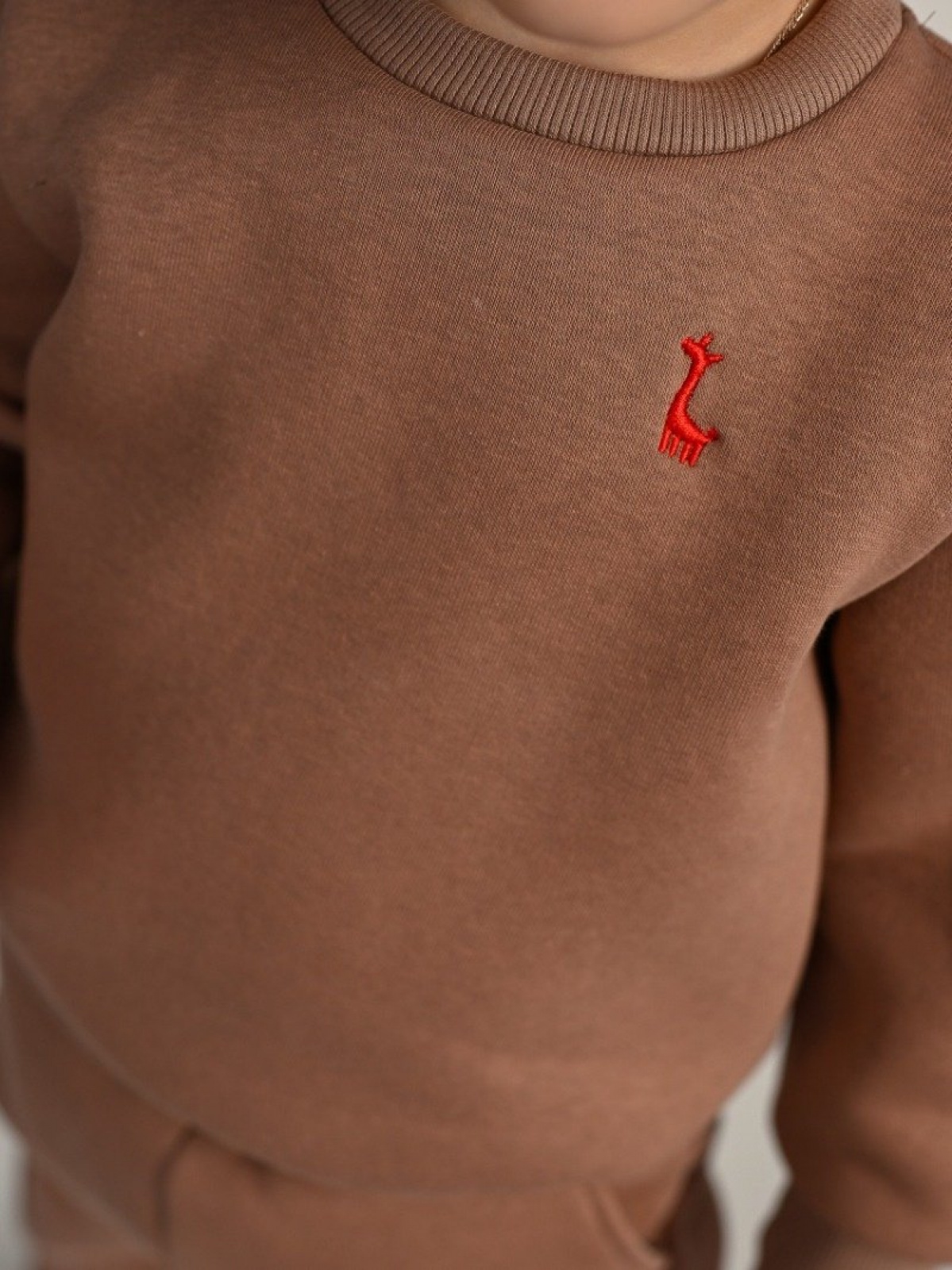 Спортивный костюм теплый с начесом зимний