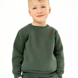 Детский&nbsp;костюм:&nbsp;кофта&nbsp;+ брюки.


	
	Материал:&nbsp;футер&nbsp;турецкого&nbsp;произ...