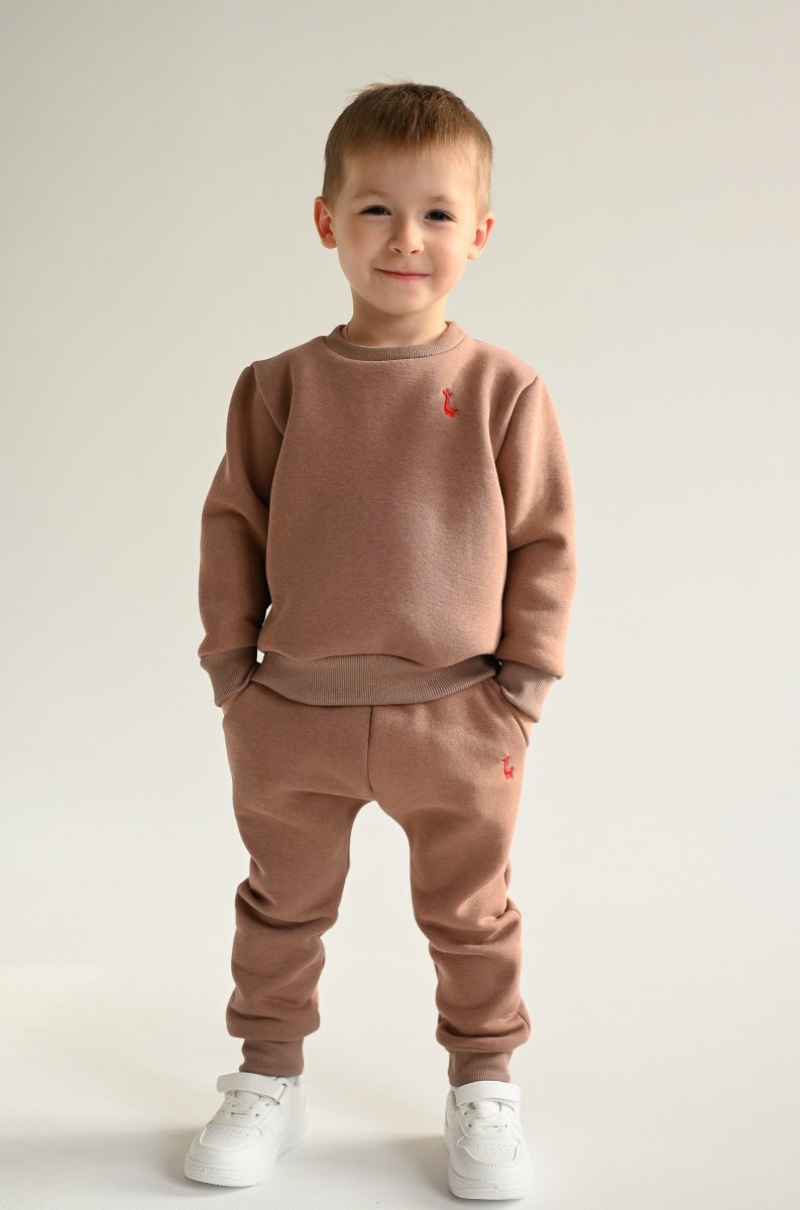 Спортивный костюм теплый с начесом зимний