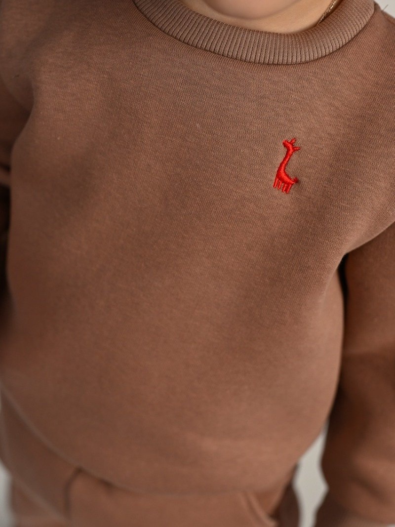 Спортивный костюм теплый с начесом зимний