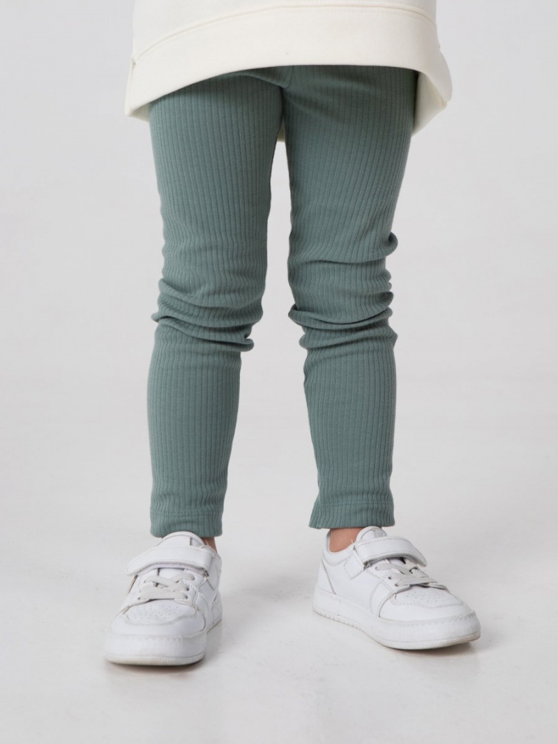 Лосины (легинсы) детские в садик в рубчик набор 2шт