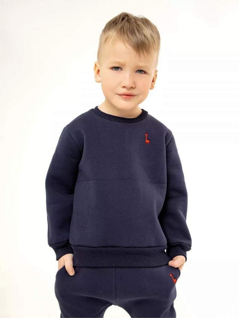 Детский костюм с начесом спортивный из футера