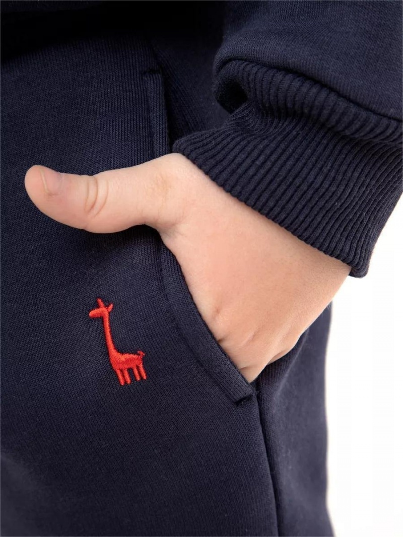 Детский костюм с начесом спортивный из футера